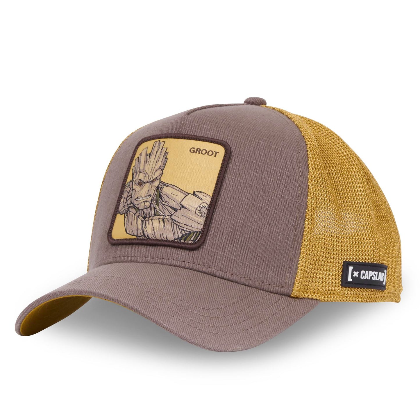 Gorra CAPSLAB Groot