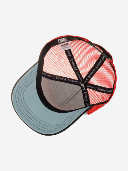 Gorra Capslab DC Comics Batman y Robin